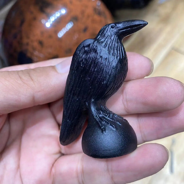 Black Obsidian Crow-ToShay.org