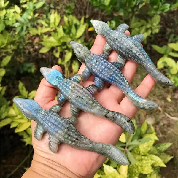 Blue Labradorite Crocodile-ToShay.org