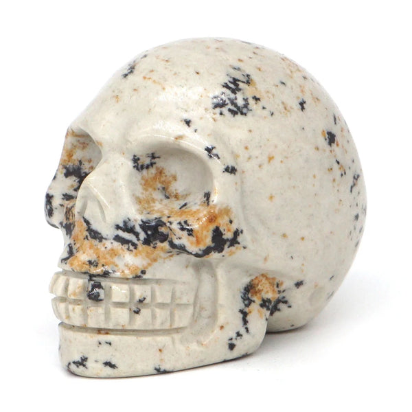 Mixed Crystal Skulls-ToShay.org