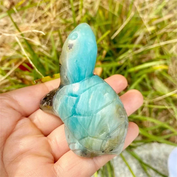 Blue Amazonite Tortoise-ToShay.org