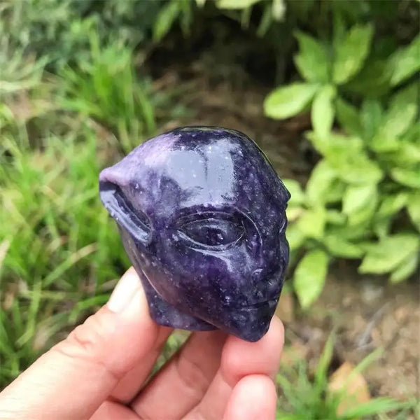 Mixed Crystal Alien Skull-ToShay.org