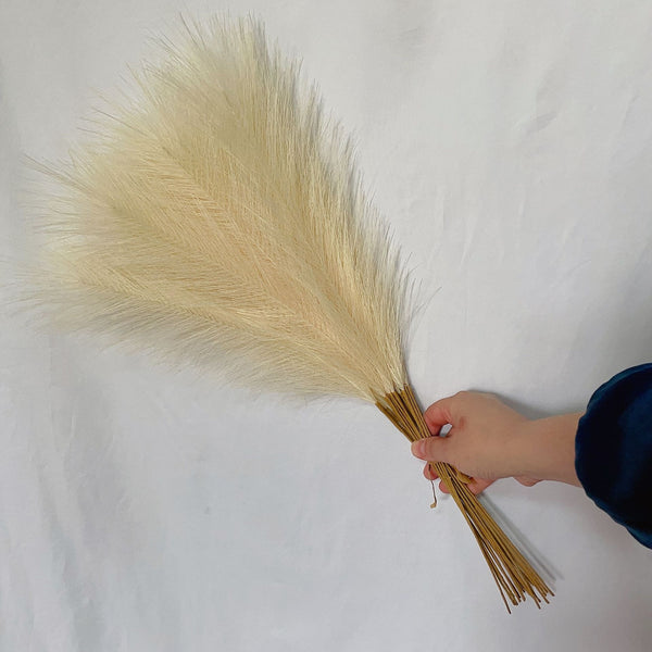 Pampas Grass-ToShay.org