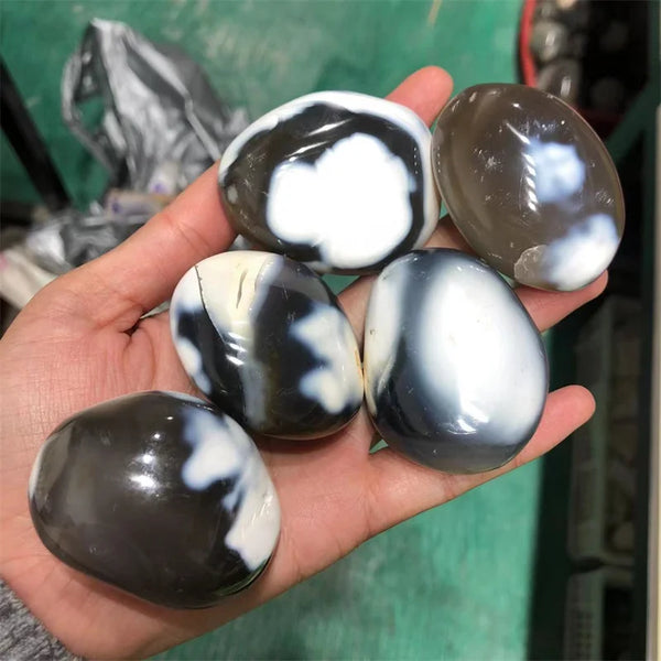 White Black Orca Agate Stones-ToShay.org