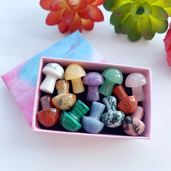 Mixed Crystal Mushroom Gift Box-ToShay.org