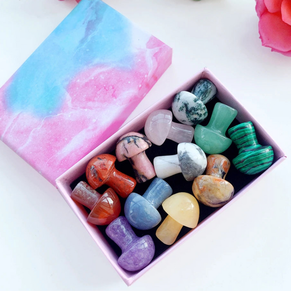 Mixed Crystal Mushroom Gift Box-ToShay.org