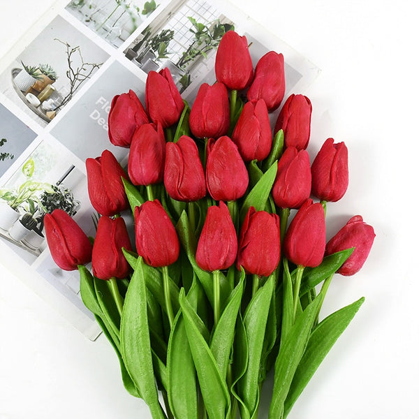 Tulip Flowers-ToShay.org