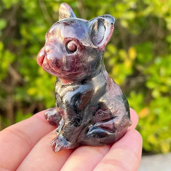 Red Garnet Dog-ToShay.org