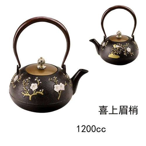 Cast Iron Tea Kettle-ToShay.org