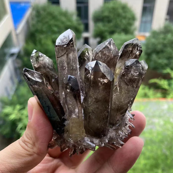 Mixed Quartz Crystal Cluster-ToShay.org