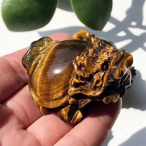 Yellow Tiger Eye Dragon Turtle-ToShay.org