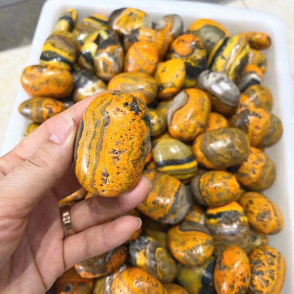 Yellow Bumblebee Jasper Stones-ToShay.org