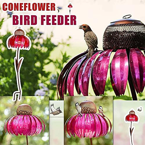 Bird Feeder-ToShay.org