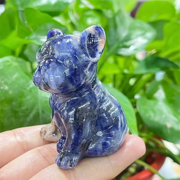 Blue Sodalite Dog-ToShay.org