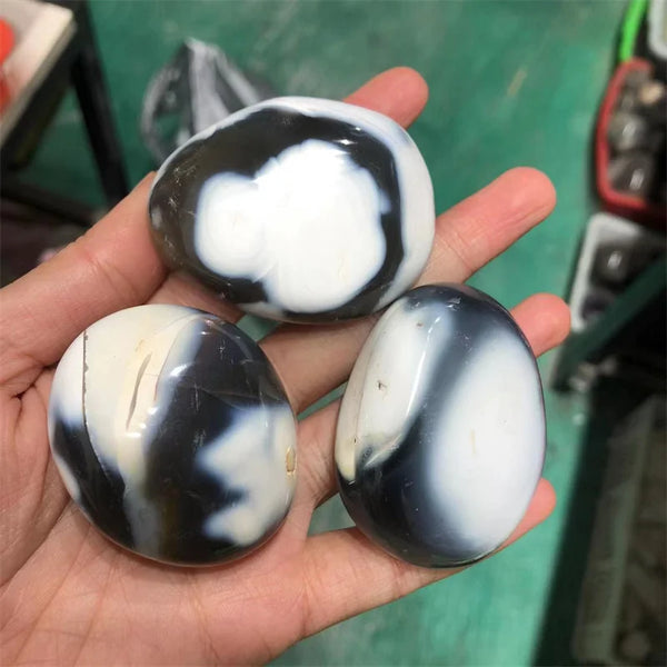 White Black Orca Agate Stones-ToShay.org