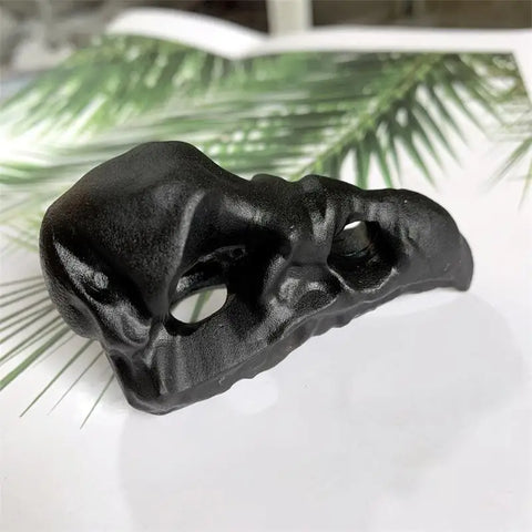 Black Obsidian Bird Skull-ToShay.org