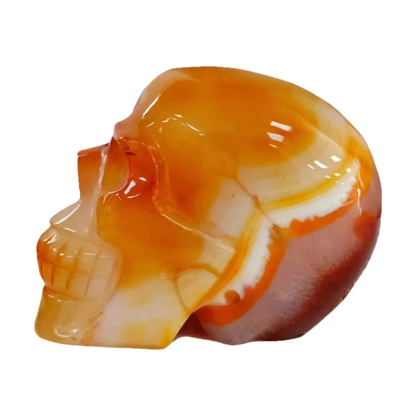 Mixed Crystal Skulls-ToShay.org