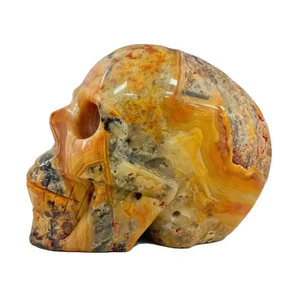 Mixed Crystal Skulls-ToShay.org