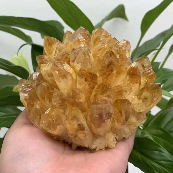 Yellow Citrine Crystal Cluster-ToShay.org