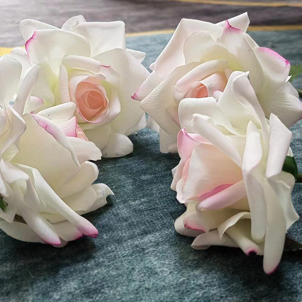 Rose Flowers-ToShay.org