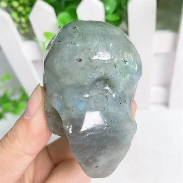 Blue Labradorite Skull-ToShay.org