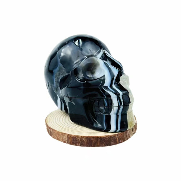 Blue Lemurian Calcite Skull-ToShay.org