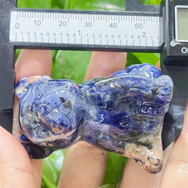 Blue Sodalite Dog-ToShay.org