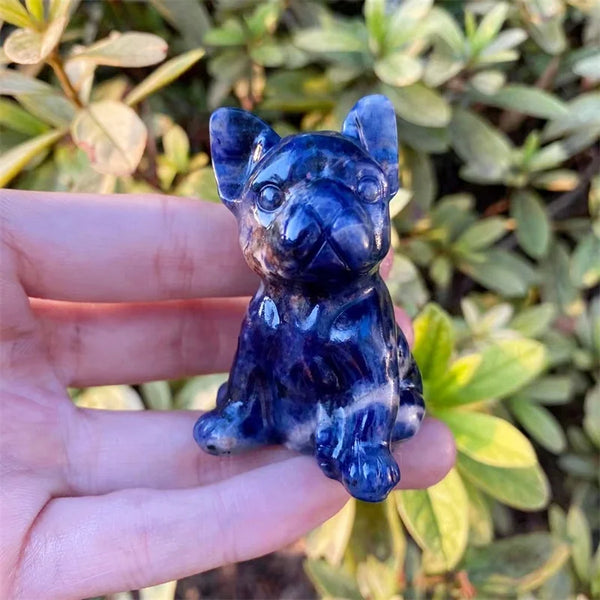 Blue Sodalite Dog-ToShay.org