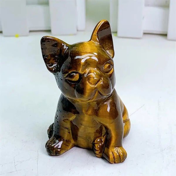 Yellow Tiger Eye Dog-ToShay.org