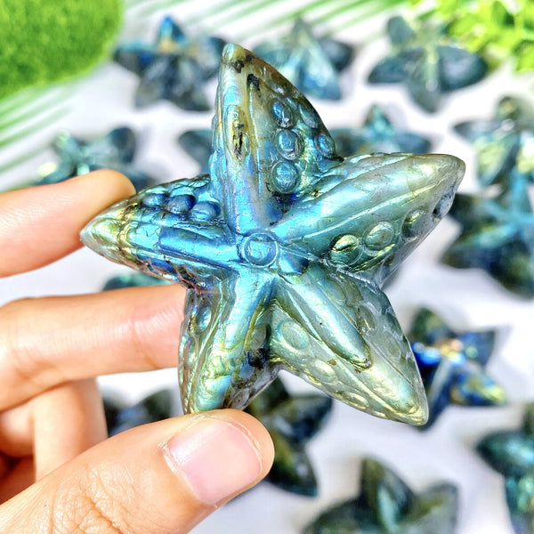 Blue Labradorite Starfish-ToShay.org