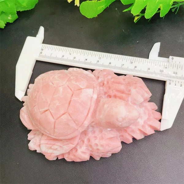 Pink Opal Tortoise-ToShay.org