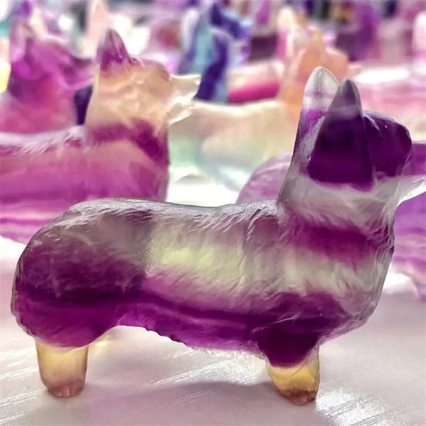 Purple Fluorite Dog-ToShay.org