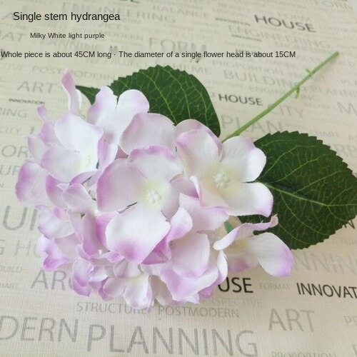 Purple Hydrangea Peony Flowers-ToShay.org