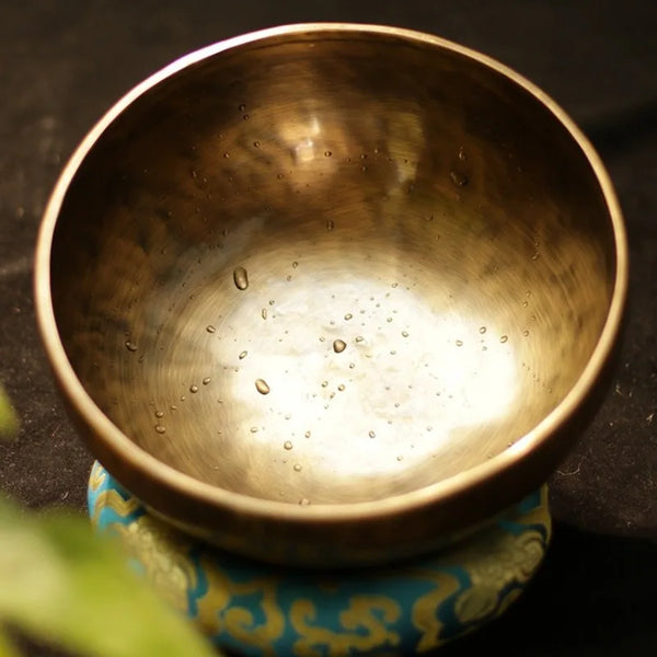 Tibetan Singing Bowl-ToShay.org