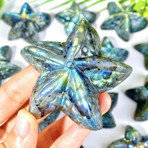 Blue Labradorite Starfish-ToShay.org