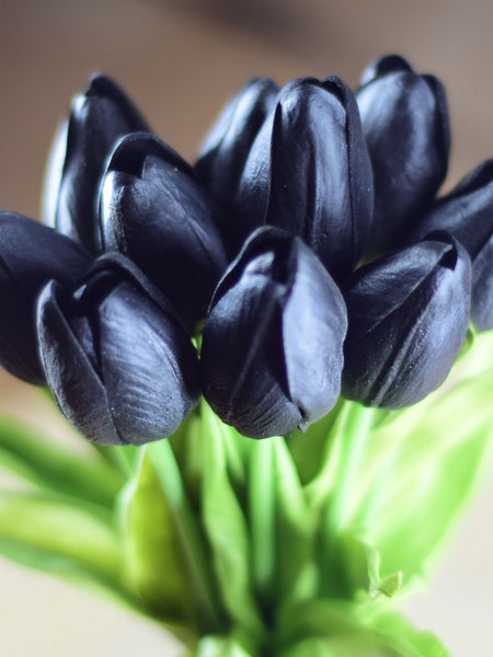 Black Calla Lilies-ToShay.org