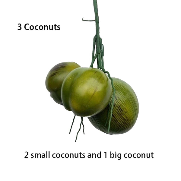 Coconut Palm Leaves-ToShay.org