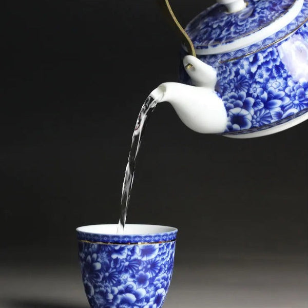 Blue White Porcelain Tea Pot-ToShay.org