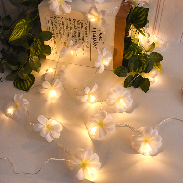 Frangipani Flower String Lights-ToShay.org