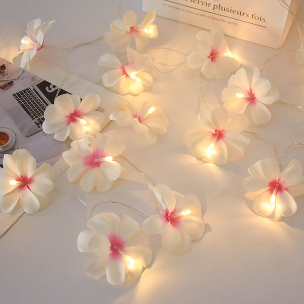 Frangipani Flower String Lights-ToShay.org