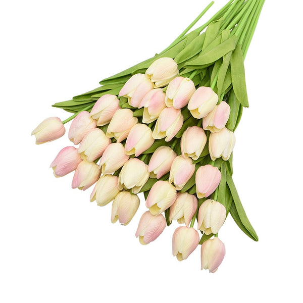 Tulip Flowers-ToShay.org