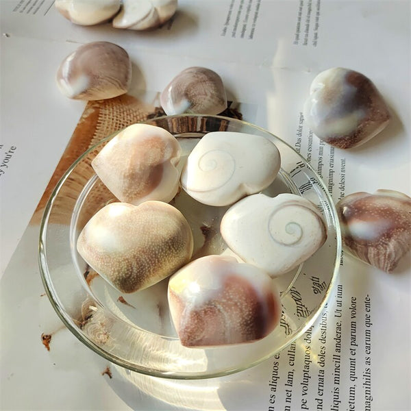 White Shell Hearts-ToShay.org