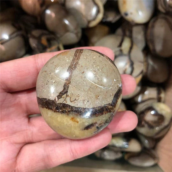 Yellow Septarian Palm Stone-ToShay.org