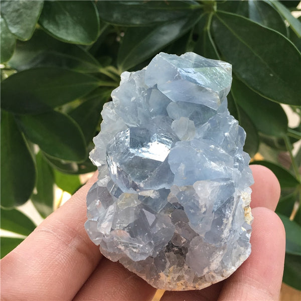 Blue Celestite Crystal Cluster-ToShay.org