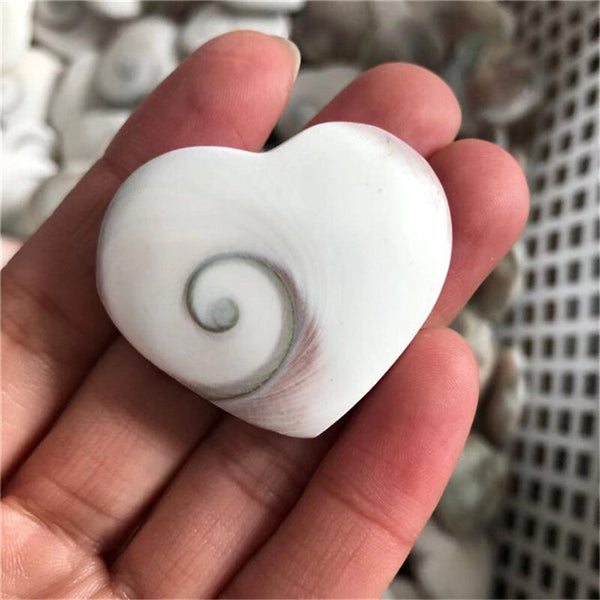 White Shell Heart-ToShay.org