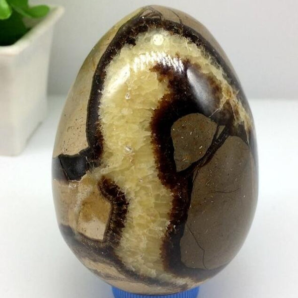 Yellow Dragon Septarian Egg-ToShay.org