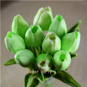 Tulip Flowers-ToShay.org