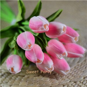 Tulip Flowers-ToShay.org