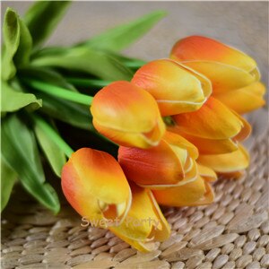 Tulip Flowers-ToShay.org