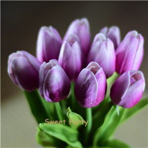 Tulip Flowers-ToShay.org