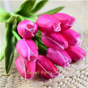 Tulip Flowers-ToShay.org